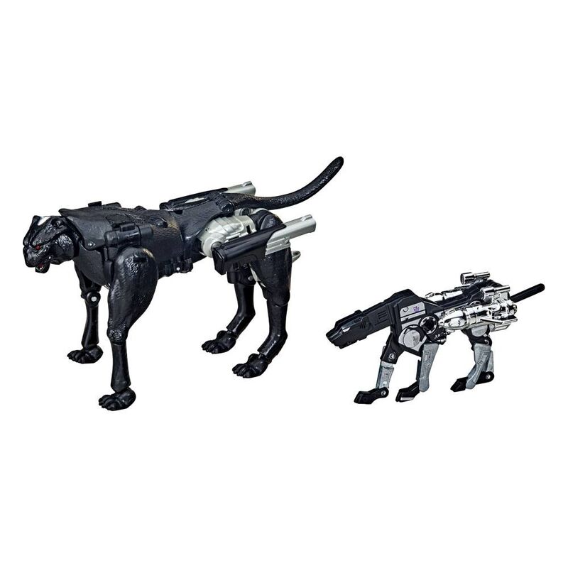 Ravage Agent & Forever Ravage Set | 15cm Transformers WFC Hasbro